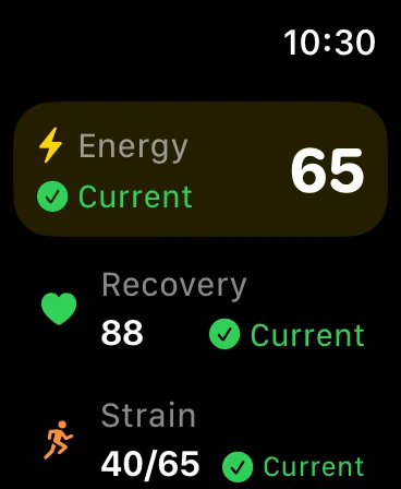 LoadSense auf der Apple Watch: Energie 65, Erholung 88 und Belastung 40 von 65, jeweils als aktuell markiert.